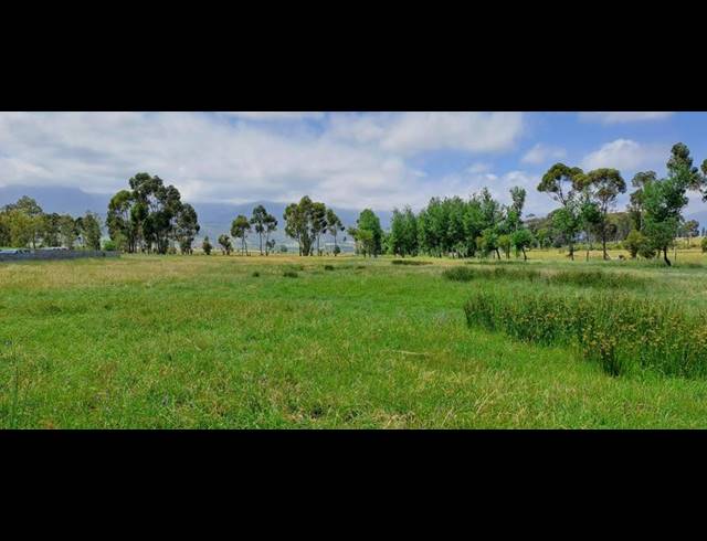 FARM FOR SALE IN PAARL RURAL